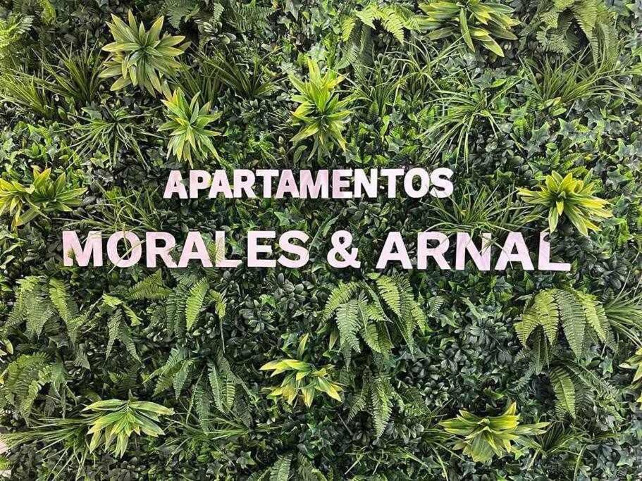 XXI E Apartamentos Morales & Arnal Ronda Buitenkant foto